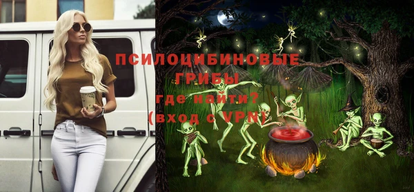 соль ск Осташков