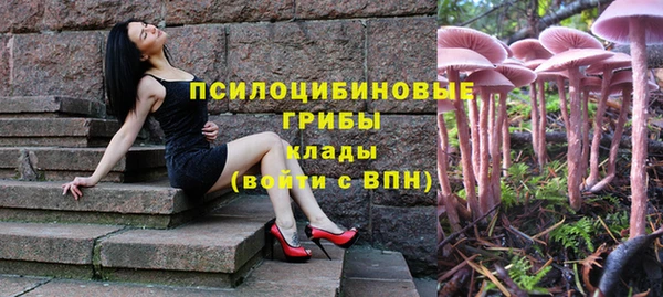 марки nbome Алзамай